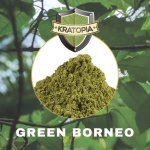 Green Borneo Kratom - 50 gram - Afbeelding 2