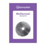 McKennaii Sporeprint - Culture Ampoule & Sporeprints kopen bij 7Smart