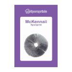 McKennaii Sporeprint