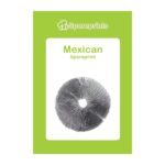 Mexican Magic Mushroom Sporeprint - Culture Ampoule & Sporeprints kopen bij 7Smart
