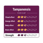 Tampanensis Magic Truffels - 15 gram - Magic truffels kopen bij 7Smart
