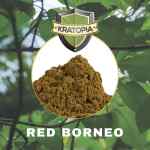 Red Borneo Kratom - 50 gram - Afbeelding 2