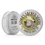 Soma’s Sacred Seeds Amnesia Haze - Soma's Sacred Seeds kopen bij 7Smart