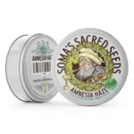 Soma’s Sacred Seeds Amnesia Haze Autoflower - Soma's Sacred Seeds kopen bij 7Smart