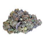 Chronic & Caviar Dolato 5 zaden - Chronic & Caviar kopen bij 7Smart