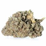Chronic & Caviar Zkittlez 5 zaden - Chronic & Caviar kopen bij 7Smart