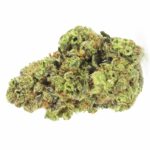 Chronic & Caviar GMO Cookies 5 zaden - Chronic & Caviar kopen bij 7Smart