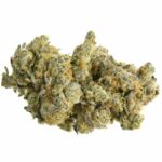 Chronic & Caviar Auto GMO Cookies 5 zaden - Chronic & Caviar kopen bij 7Smart